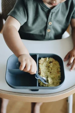 Assiette Compartimentee Silicone Mineral*BÉABA New